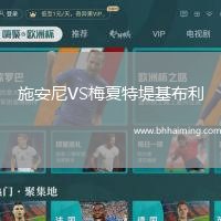 施安尼VS梅夏特堤基布利