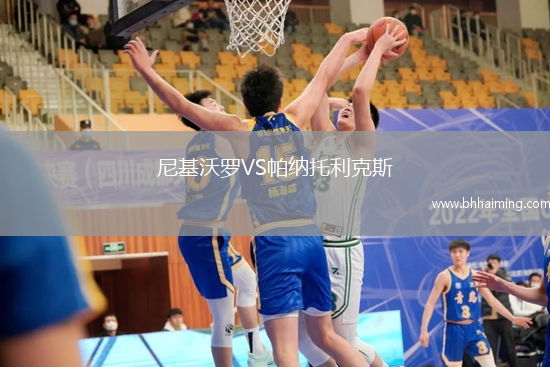 尼基沃羅VS帕納托利克斯