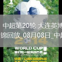 08月08日中超第20輪大連英博vs成都蓉城片段