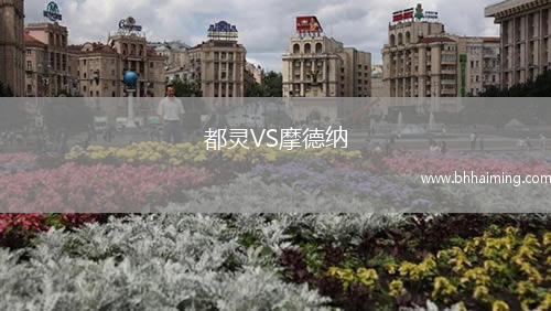 都靈VS摩德納