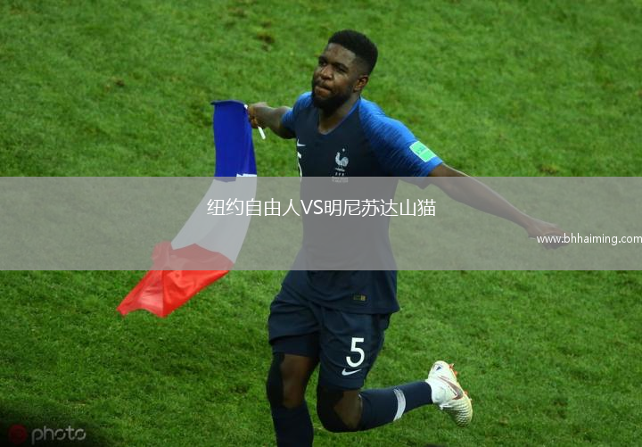 紐約自由人VS明尼蘇達(dá)山貓