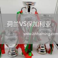 荷蘭VS保加利亞