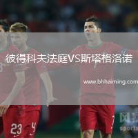 彼得科夫法庭VS斯塔格洛諾
