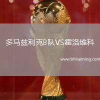 多馬茲利克B隊VS霍洛維科