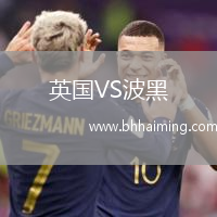 英國VS波黑