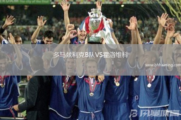 多馬茲利克B隊VS霍洛維科