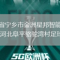 湖南省寧鄉(xiāng)市金洲星邦智能足球隊VS河北阜平駱駝灣村足球隊