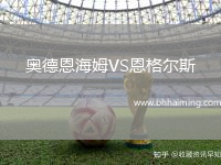 奧德恩海姆VS恩格爾斯