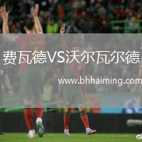費瓦德VS沃爾瓦爾德