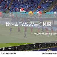 比林古馬VSSV赫梅林根