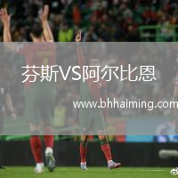 芬斯VS阿爾比恩