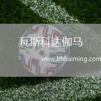 瓦斯科達伽馬(POR)VS阿爾維卡足球俱樂部B隊