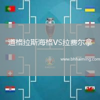 道格拉斯海格VS拉費(fèi)爾拿