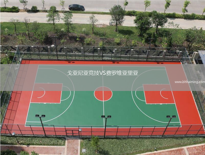 戈亞尼亞競技VS費羅維亞里亞