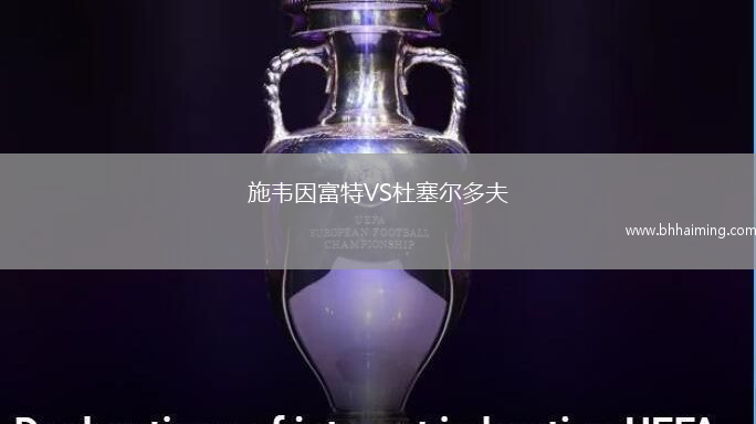 施韋因富特VS杜塞爾多夫
