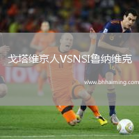 戈塔維京人VSNSI魯納維克