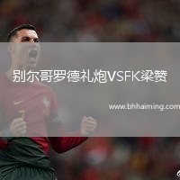 別爾哥羅德禮炮VSFK梁贊