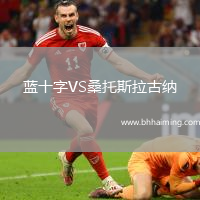 藍十字VS桑托斯拉古納