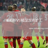 維勒斯VS頓涅茨克礦工