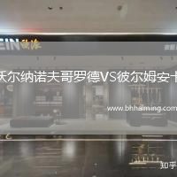 沃爾納諾夫哥羅德VS彼爾姆安卡