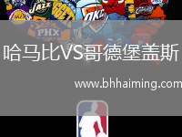 哈馬比VS哥德堡蓋斯