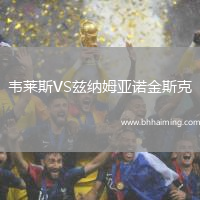 韋萊斯VS茲納姆亞諾金斯克