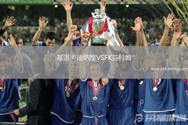 基洛夫迪納摩VSFK芬科姆