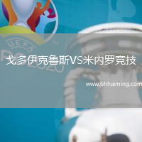 戈多伊克魯斯VS米內羅競技