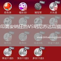 印第安納狂熱VS明尼蘇達山貓