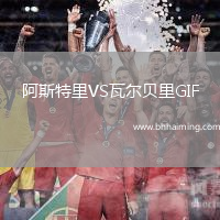 阿斯特里VS瓦爾貝里GIF