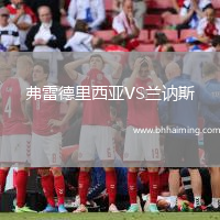 弗雷德里西亞VS蘭訥斯