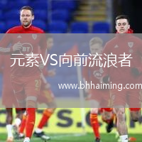 元素VS向前流浪者