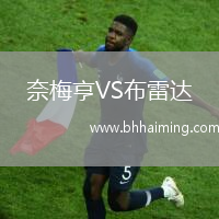奈梅亨VS布雷達