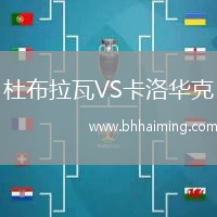 杜布拉瓦VS卡洛華克