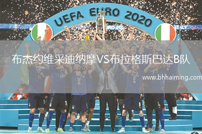 布杰約維采迪納摩VS布拉格斯巴達B隊