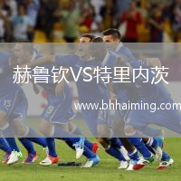 赫魯欽VS特里內茨