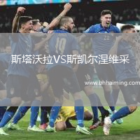 斯塔沃拉VS斯凱爾涅維采