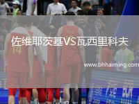 佐維耶茨基VS瓦西里科夫