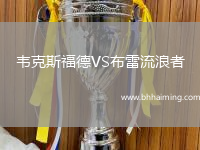 韋克斯福德VS布雷流浪者