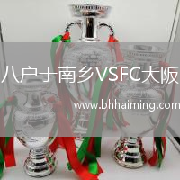 八戶于南鄉VSFC大阪