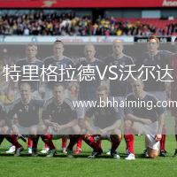 特里格拉德VS沃爾達(dá)