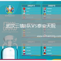 武漢三鎮(zhèn)B隊(duì)VS泰安天貺