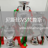 尼斯比VS梵魯斯