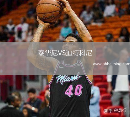 泰華尼VS迪特科尼