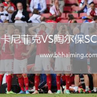 卡尼菲克VS陶爾保SC