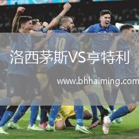 洛西茅斯VS亨特利