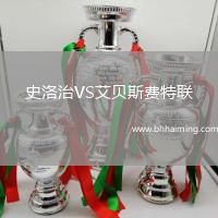 史洛治VS艾貝斯費特聯