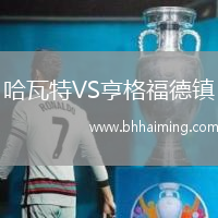 哈瓦特VS亨格福德鎮