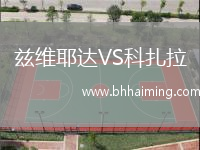 茲維耶達VS科扎拉