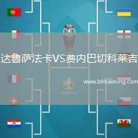達(dá)魯薩法卡VS費(fèi)內(nèi)巴切科萊吉